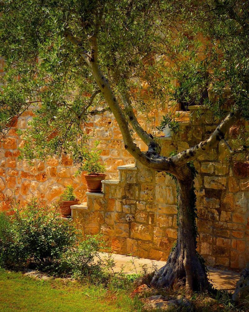 Fontana Vecchia B&B กัสเตลลานา กรอตเต ภายนอก รูปภาพ